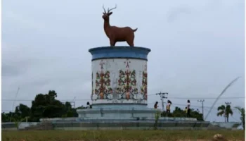 ikon-lamandau mobil travel ke lamandau