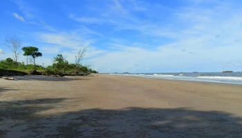 mobil travel ke kintap