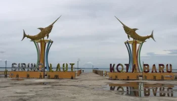 mobil travel ke kotabaru