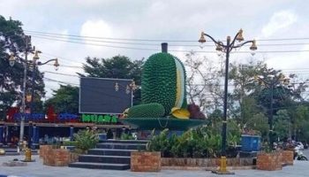 Ikon Muara Teweh